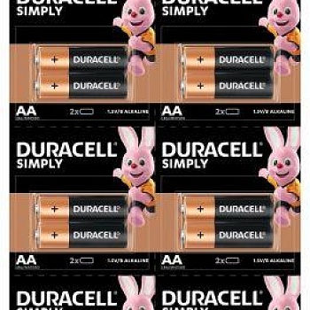 Элемент питания LR6-2BL BASIC 2х10 5010608 (блист.20шт) Duracell Б0051815