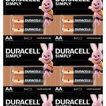 Элемент питания LR6-2BL BASIC 2х10 5010608 (блист.20шт) Duracell Б0051815