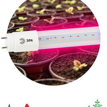 Лампа светодиодная для растений FITO-9W-RB-Т8-G13-NL Т8 48LED 2835 IP20 35000ч стекло красн./син. ЭРА Б0042986