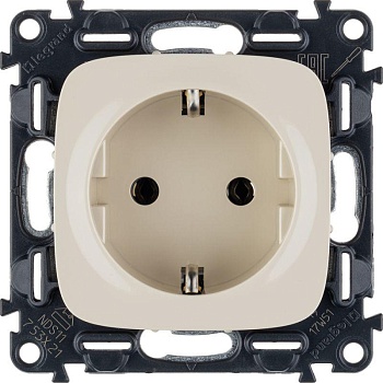 Механизм розетки 1-м СП Valena Allure 16А IP2X 250В 2P+E безвинт. клеммы с лицев. панелью сл. кость Leg 753821