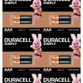 Элемент питания LR03-2BL BASIC 2х10 5011646 (блист.20шт) Duracell Б0051816